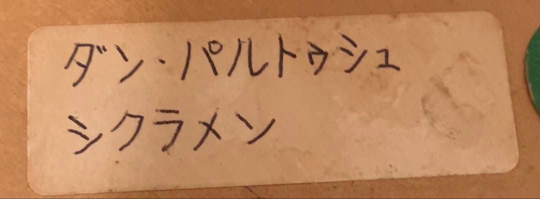 希少　大判リトグラフ　ダン・パルトゥシュ　「シクラメン」