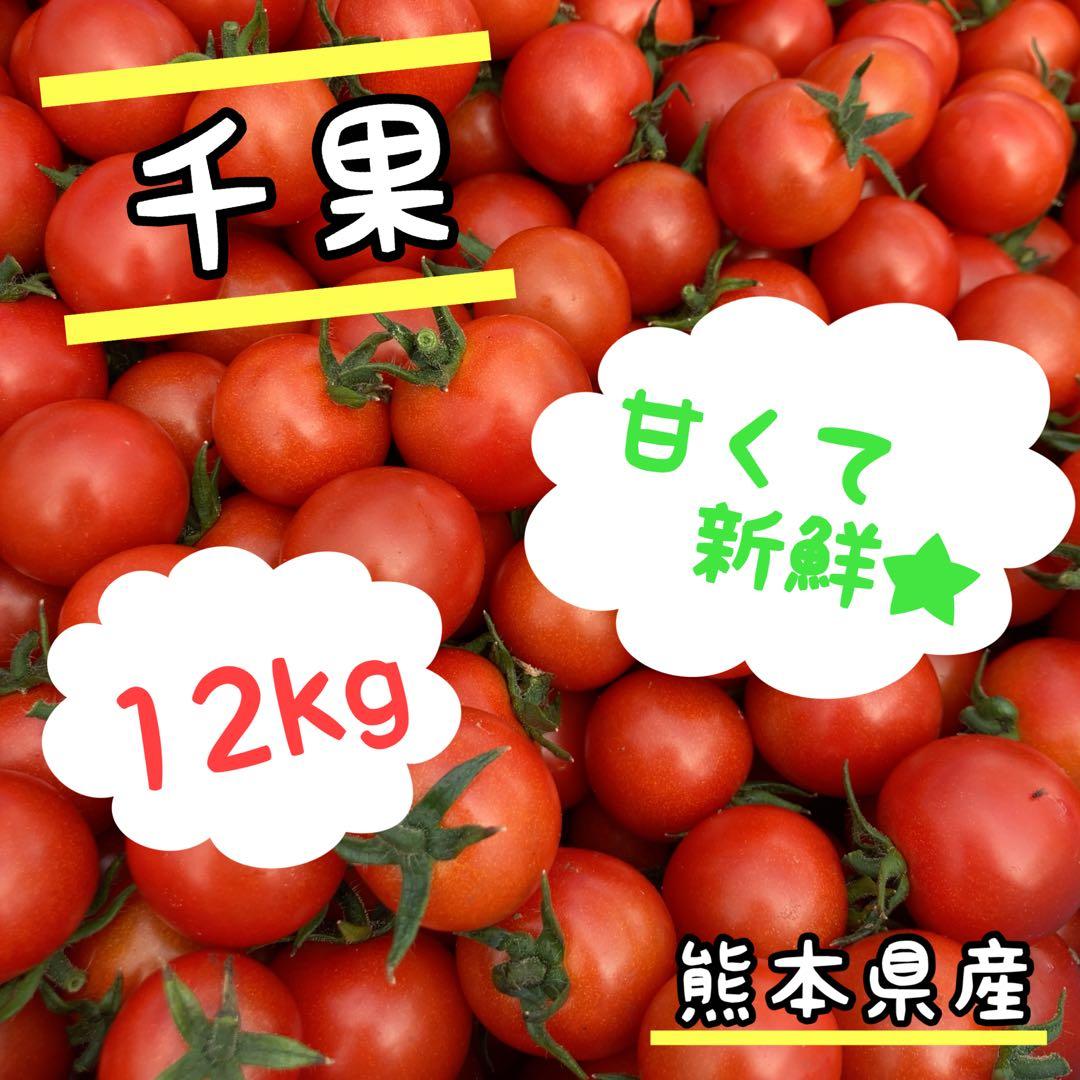 ⭐️お買い得⭐️ミニトマト　12kg