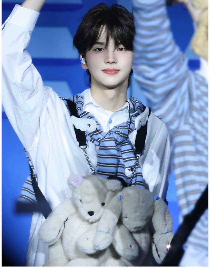 UNSTEADY MARKET テディバニー セブチ ウォヌ tws シニュ