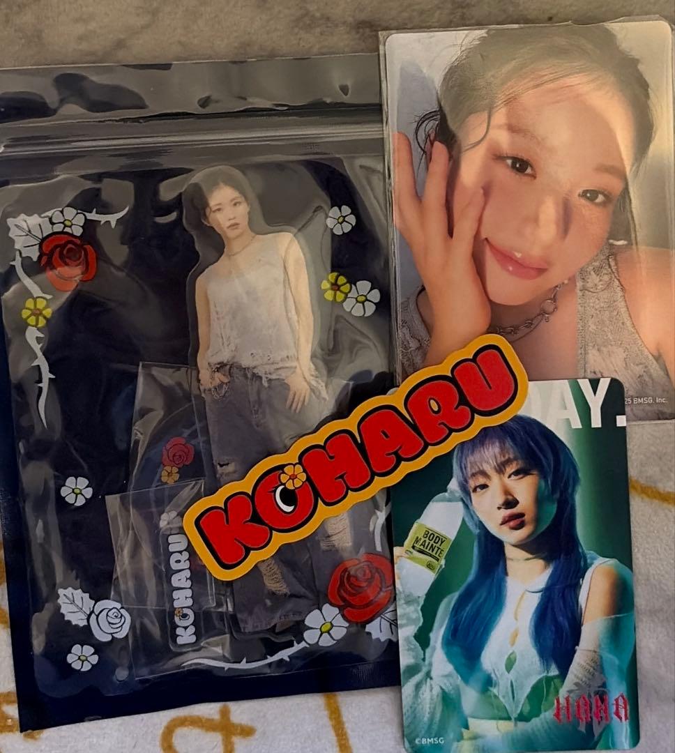 《週末限定値下げ》HANA ファンミアクスタ トレカ コハル ジス