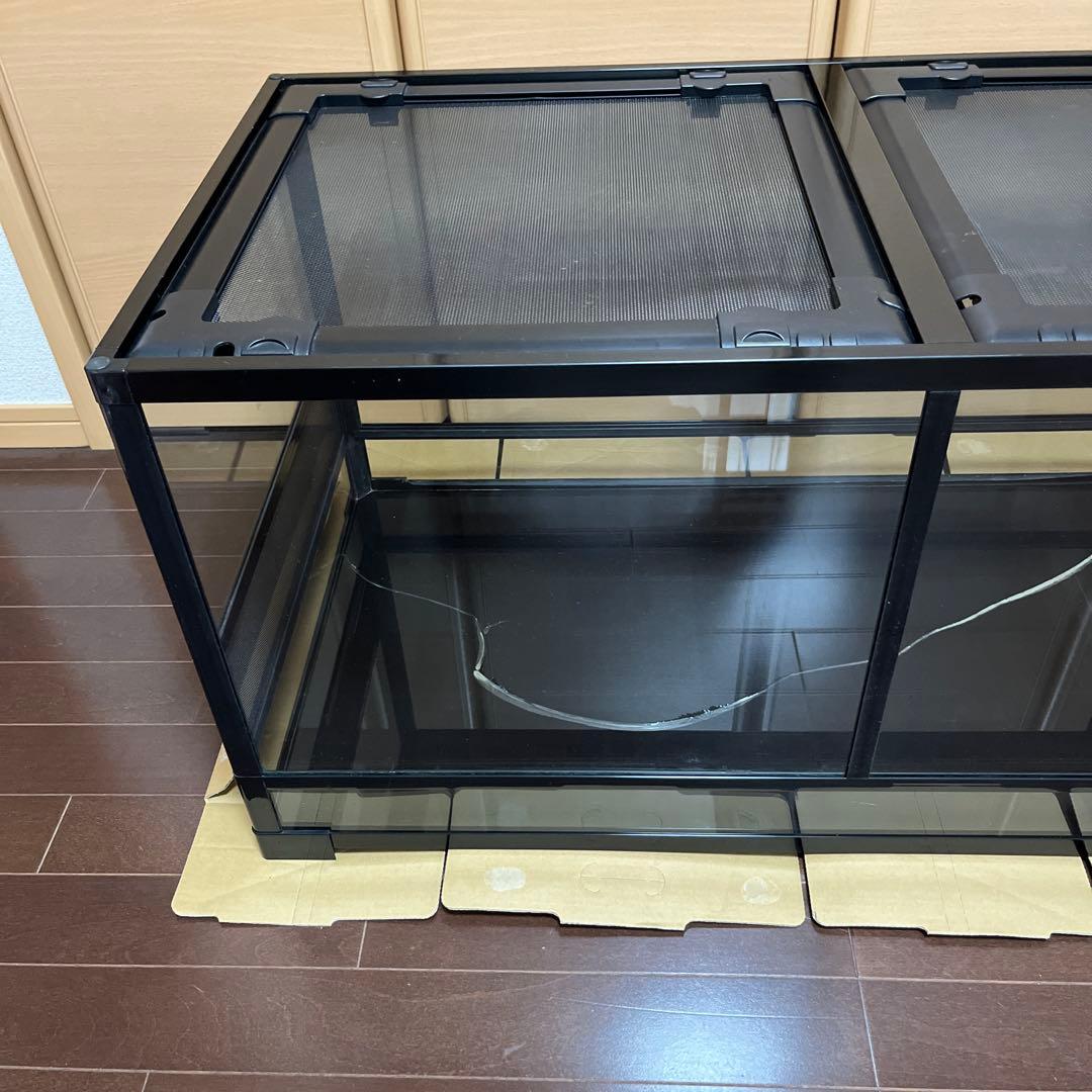 REPTI WILDパンテオン ブラック　BK9045