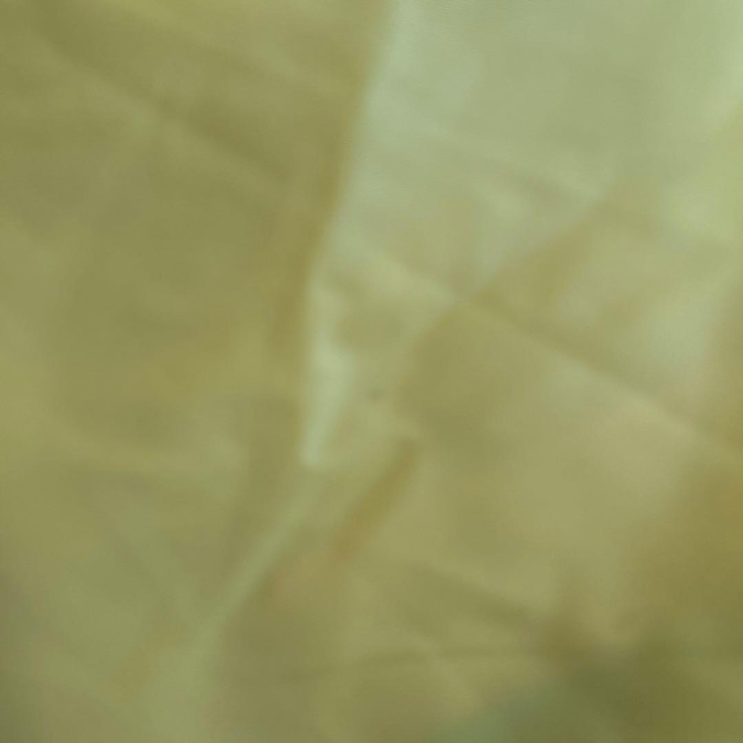 初期タグ　20年以上前の貴重品。 hide☆ラインパーカー hide刺繍ver.