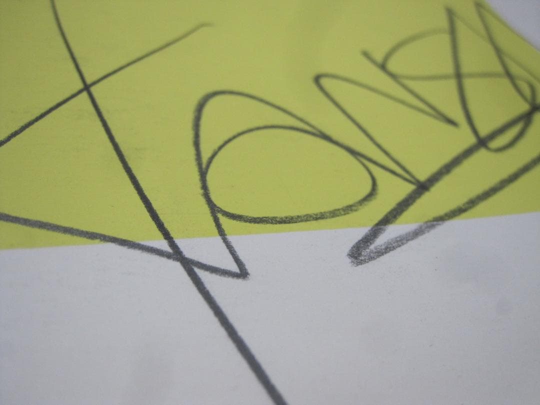 ▲山本 寛斎 さん ポートレート リトグラフ 版画 37/150 104×75