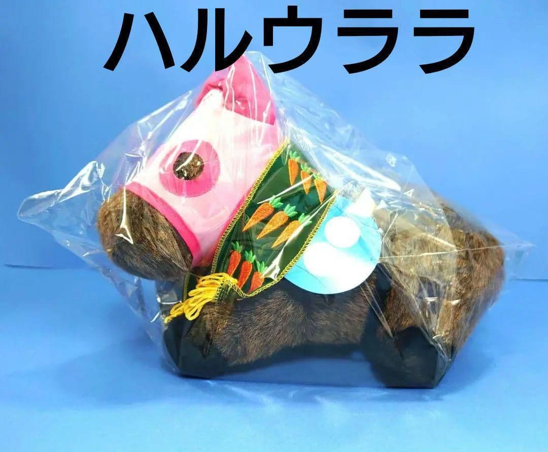 【稀少品】ハルウララ 競馬 ぬいぐるみ ウマ娘 アイドルホース 馬 AVANTI