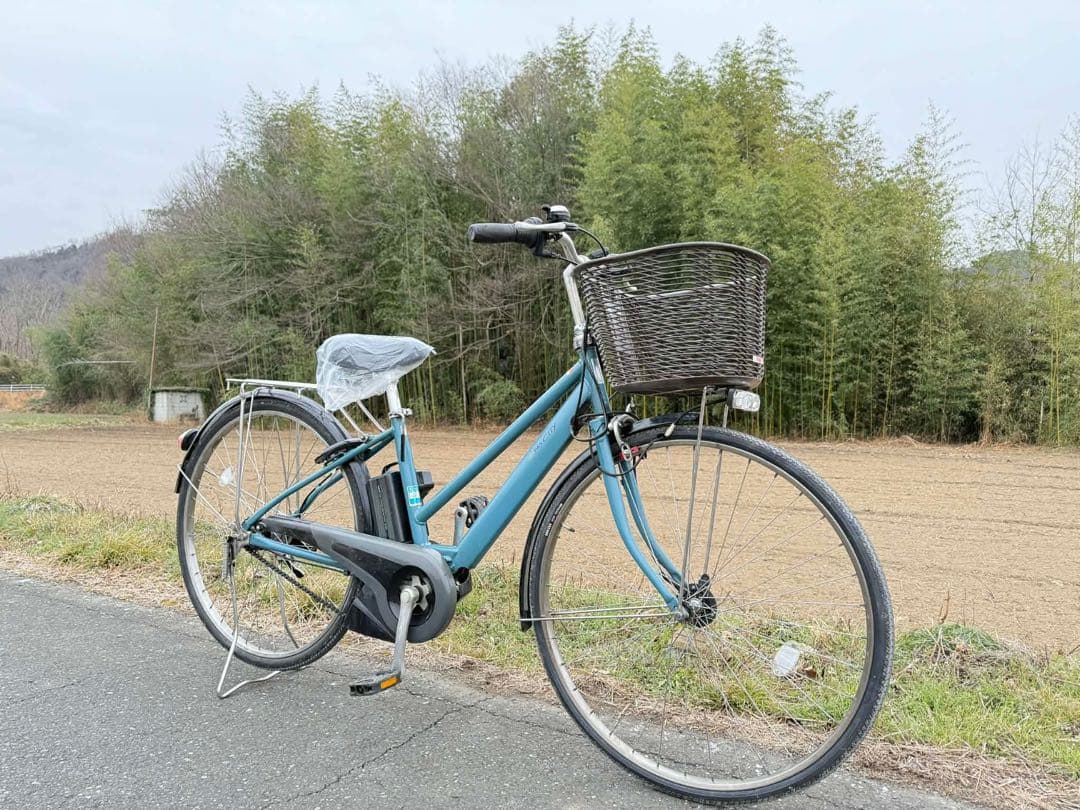 青色 シティタイプ 電動アシスト自転車