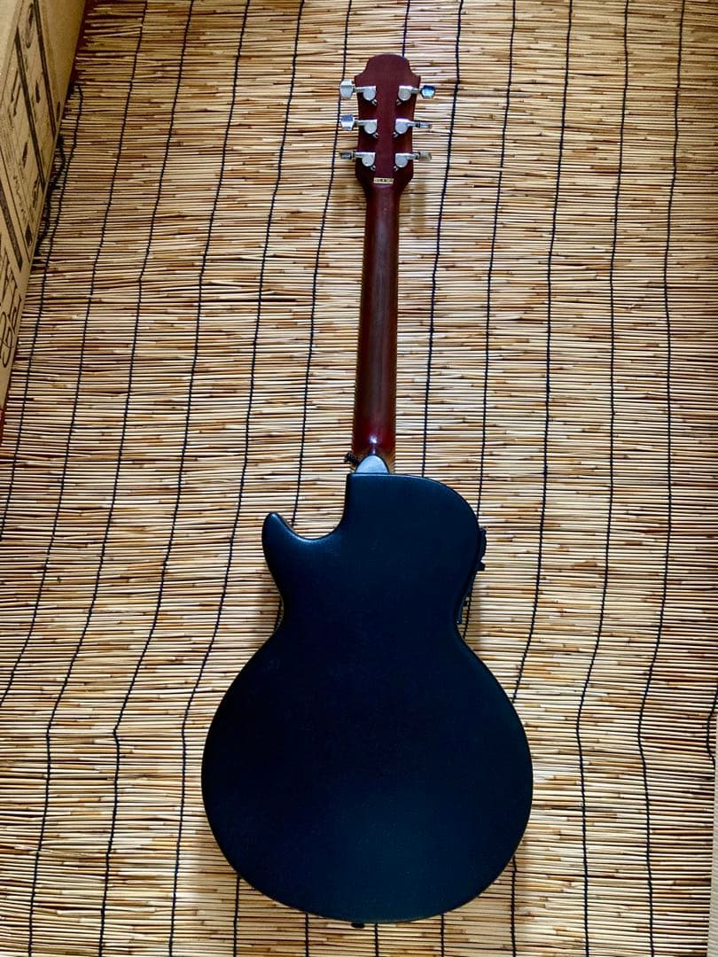 猫*様 ☆新年値下　アクティブコントローラを追加　エレアコ　Legend by