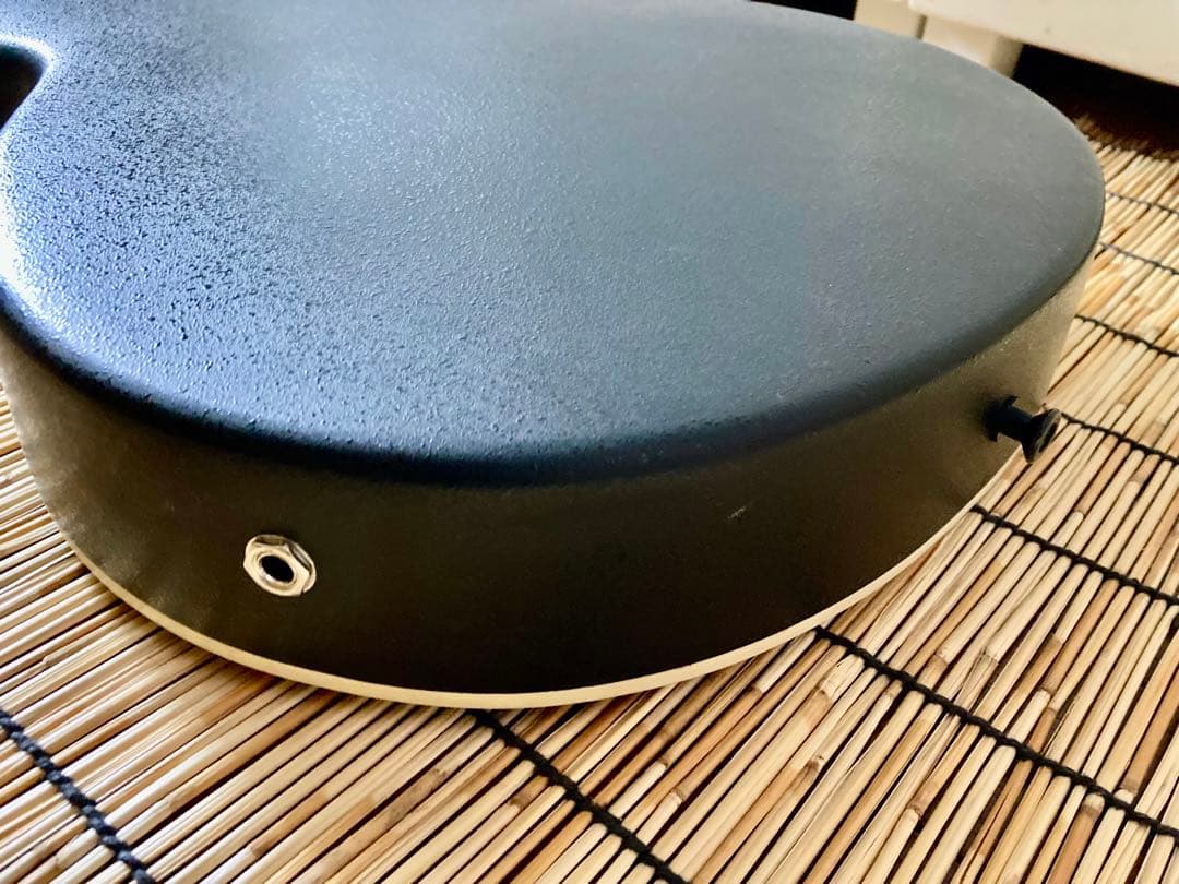 猫*様 ☆新年値下　アクティブコントローラを追加　エレアコ　Legend by