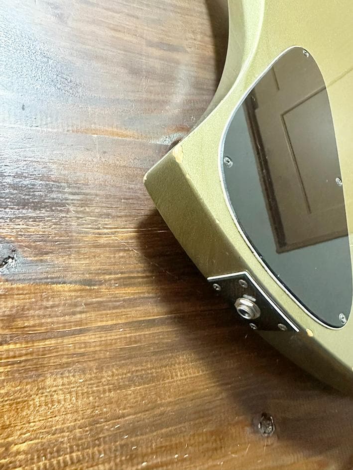 珍品！　フレットレス加工　TARGET MGT モッキンバード