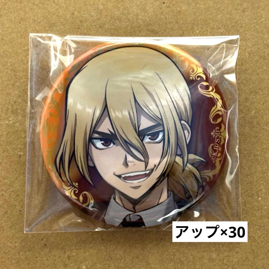 Dr.STONE ドクターストーン ブラックスーツ 龍水 缶バッジ アップ30点