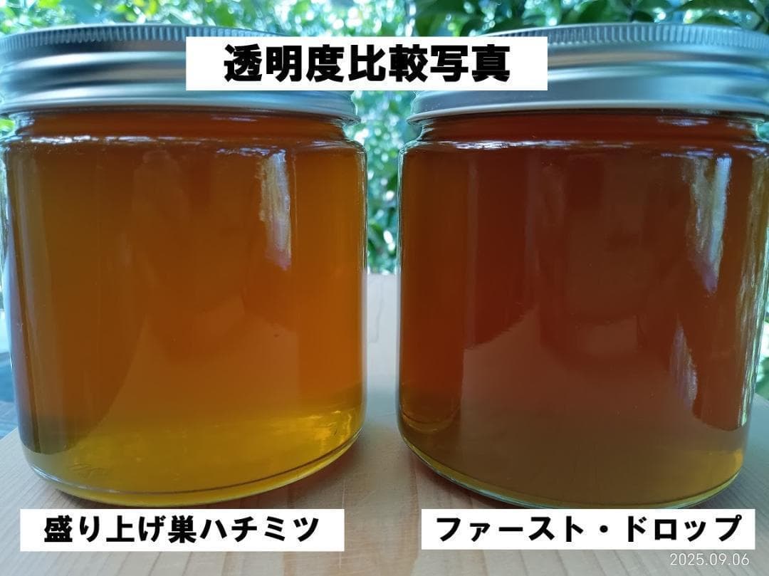 ねお　希少　「二ホンミツバチの盛り上げ巣ハチミツ」　６００ｇ