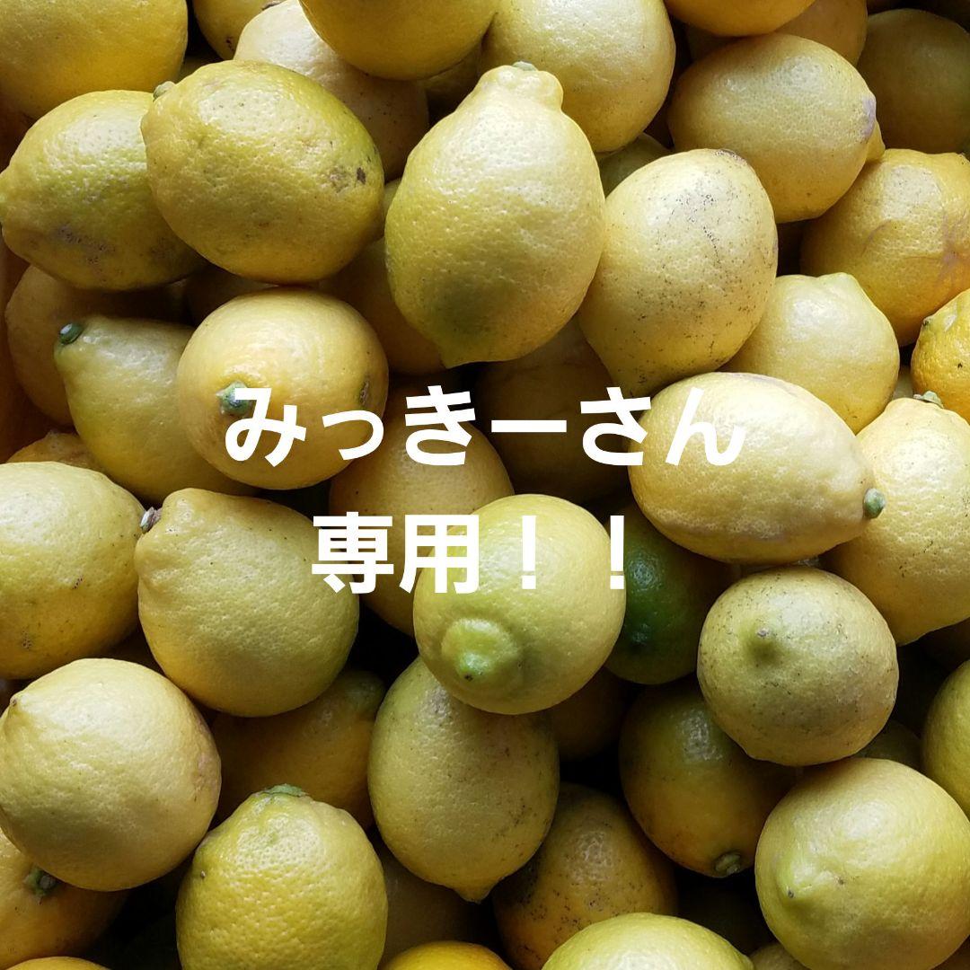 みっきーさん専用！！☆せとだレモン☆　15キロ　広島県産　農家直送