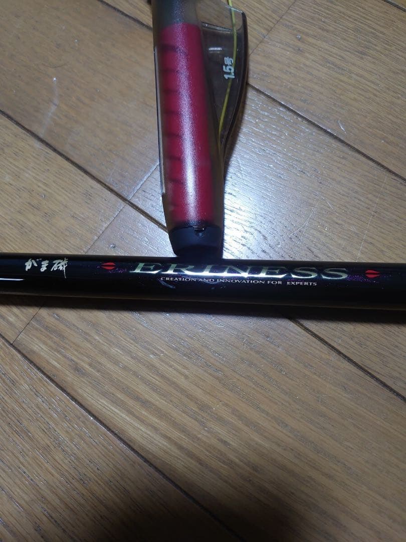 がま磯エリネス