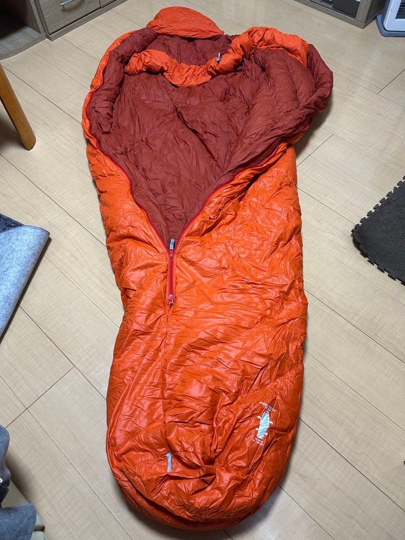 アルパインダウンハガー650 #1