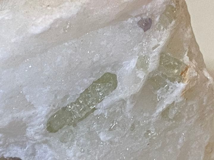 スキャポライト  195g