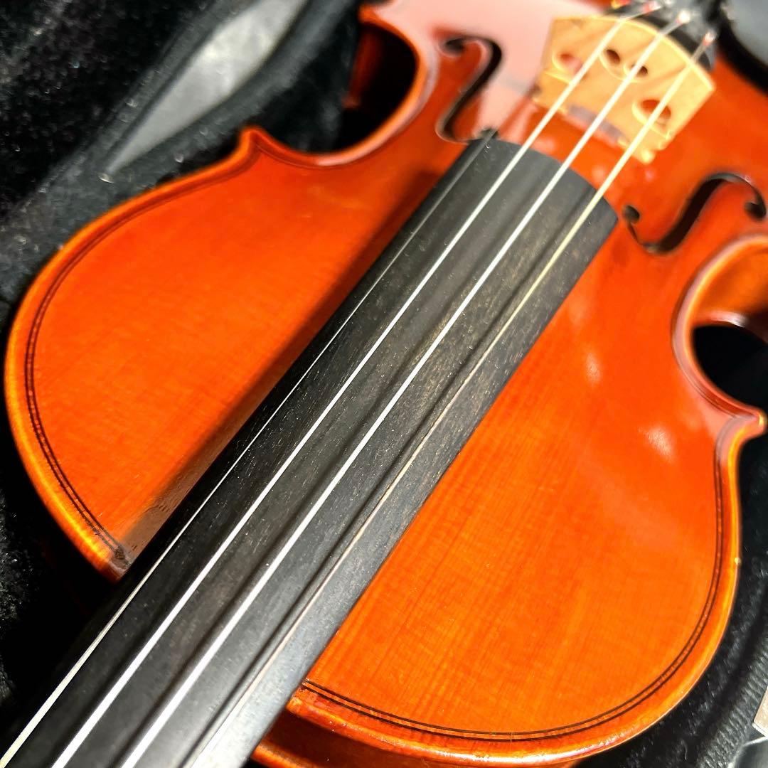 【美品】Andreas Eastman VL80 1/2 イーストマン