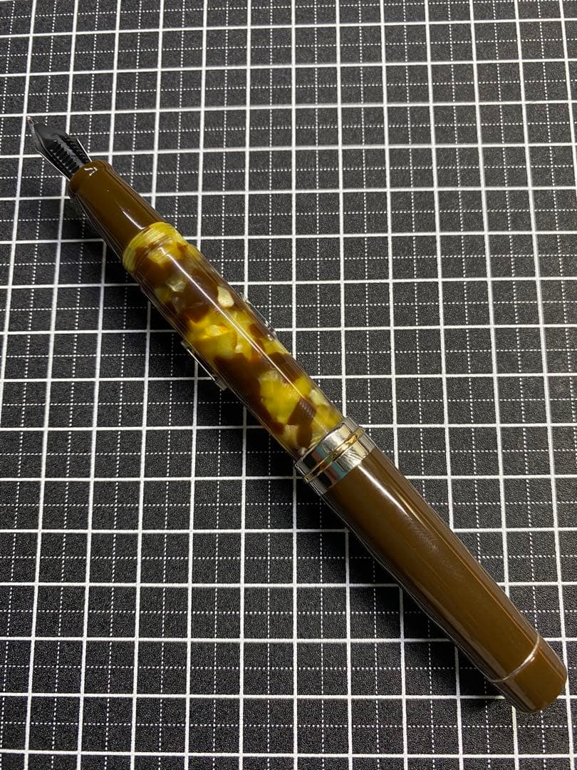 DELTA Vintage Collection Anima 万年筆　字幅F