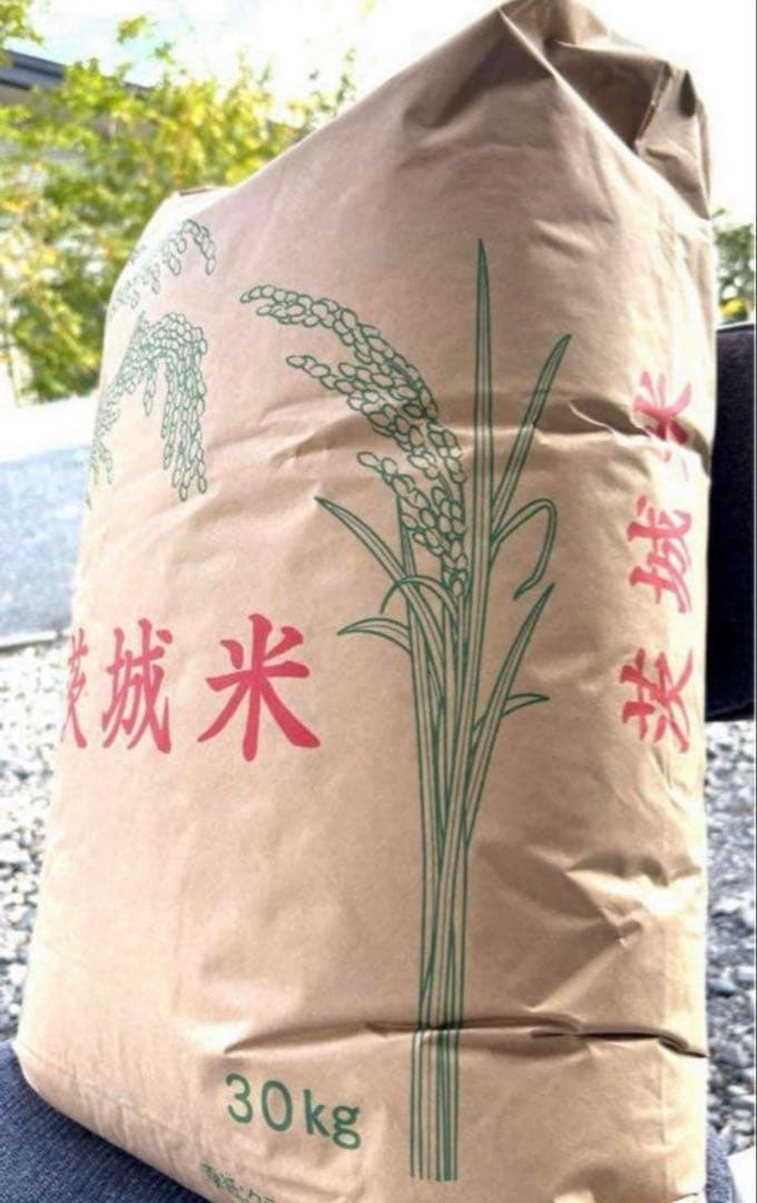 送料無料！新米 玄米 コシヒカリ30kg