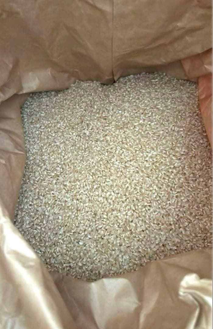 送料無料！新米 玄米 コシヒカリ30kg