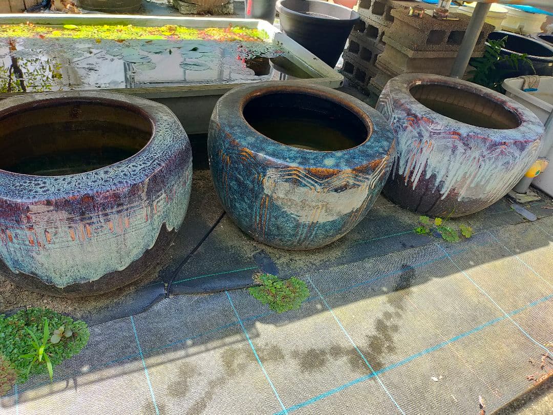 火鉢　３個セット　古美術　骨董品　旧家蔵出し　ビンテージ　手炙り　レトロ　　希少