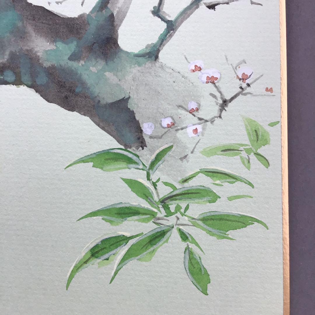 色紙　「梅の香りをそでにうつして…」昭雲作 畳紙　配送用袋　S1029SS