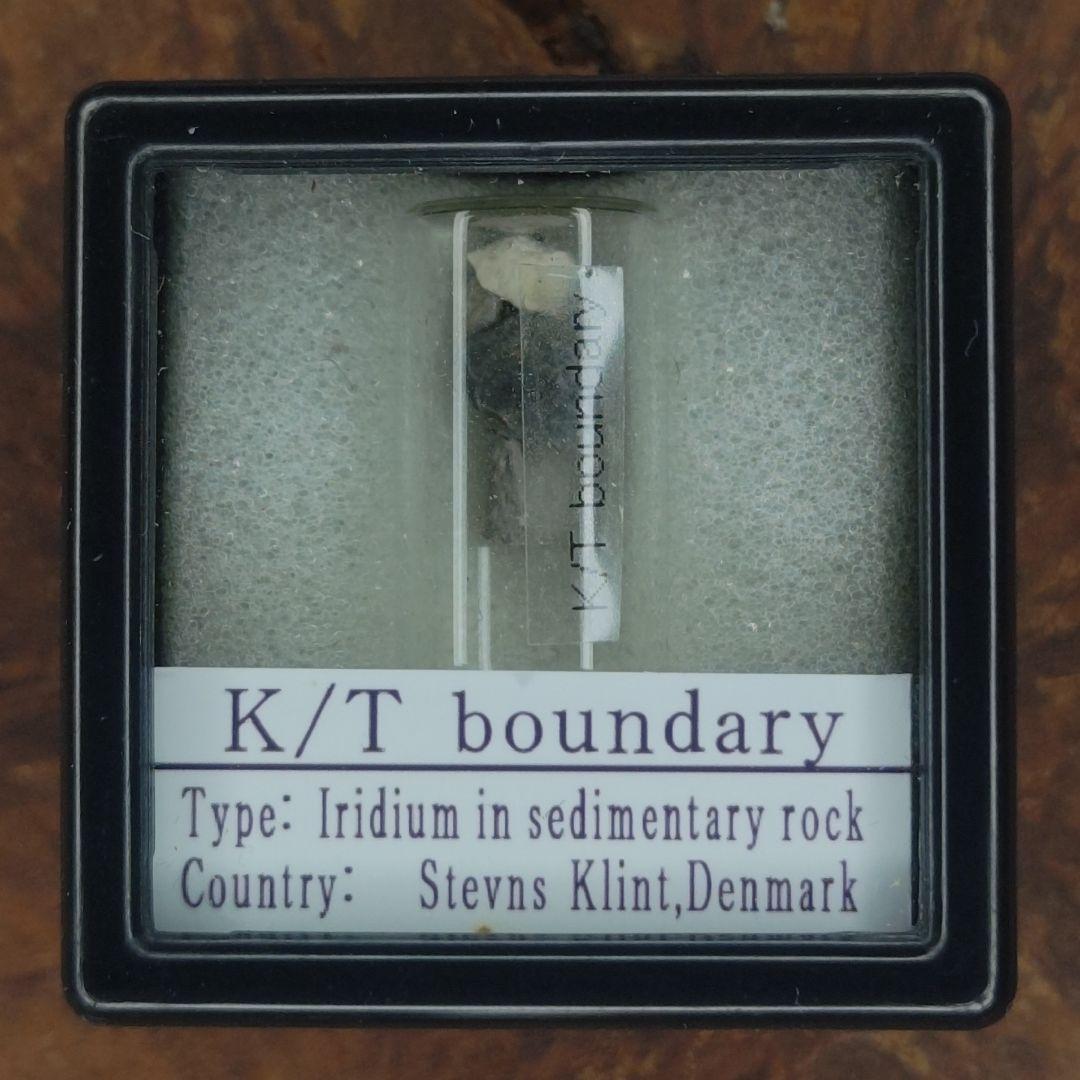 入手不可！小惑星のかけら Ｋ-Ｔ境界層（K/Pg境界頁岩）　標本