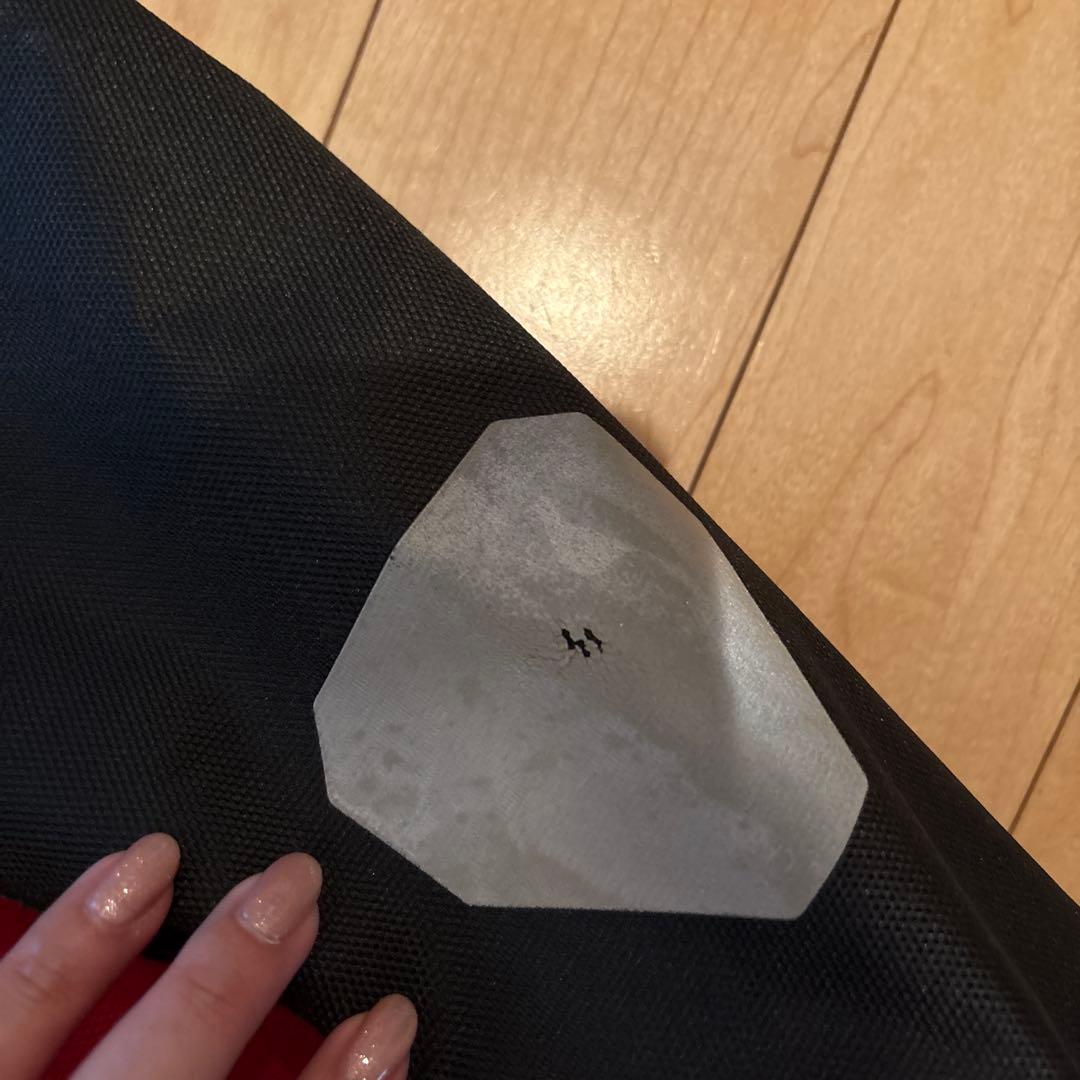 A*y様 【ORTLIEB】オルトリーブ　パニアバッグ赤　ペアセット