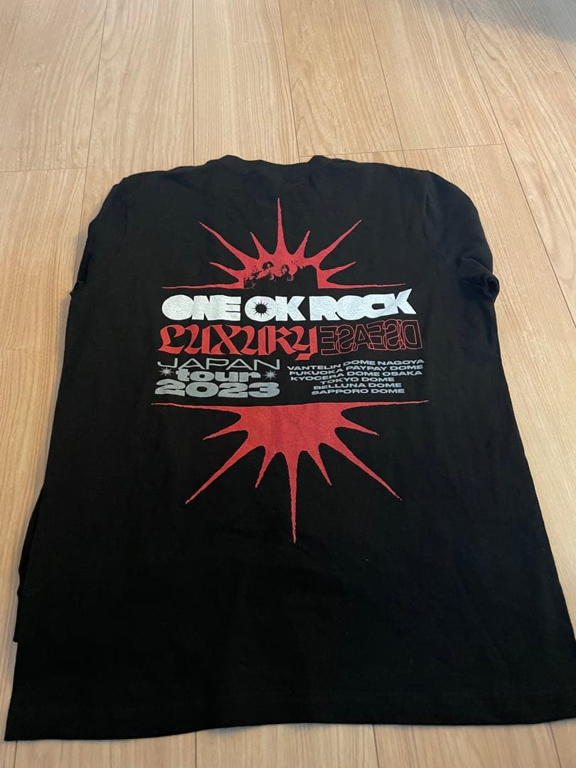 ONE OK ROCK TOUR Tシャツ&ロンT 10枚セット