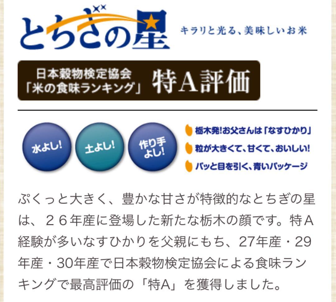 リピーター出品　令和6年産とちぎの星 10kg