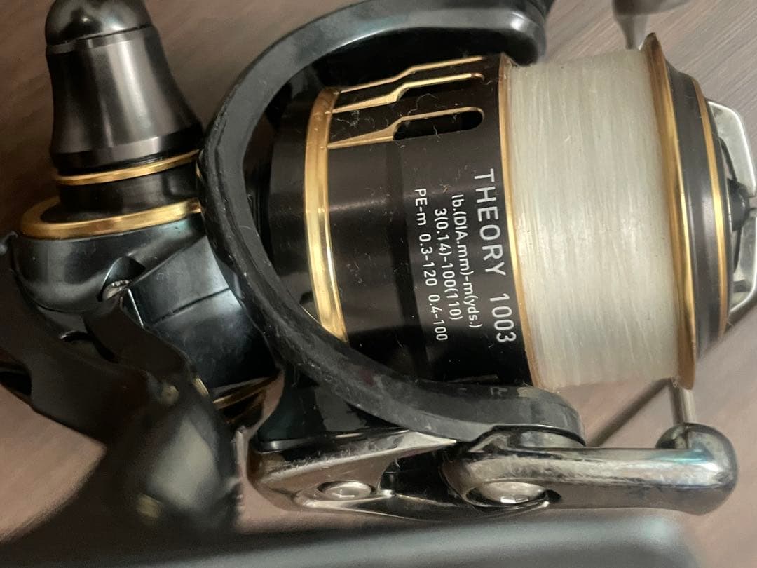 Daiwa セオリー1003