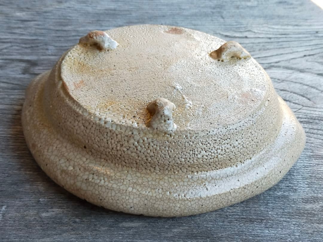 ♥絵志野　鉢　桐箱付き　志野　菓子鉢　骨董品