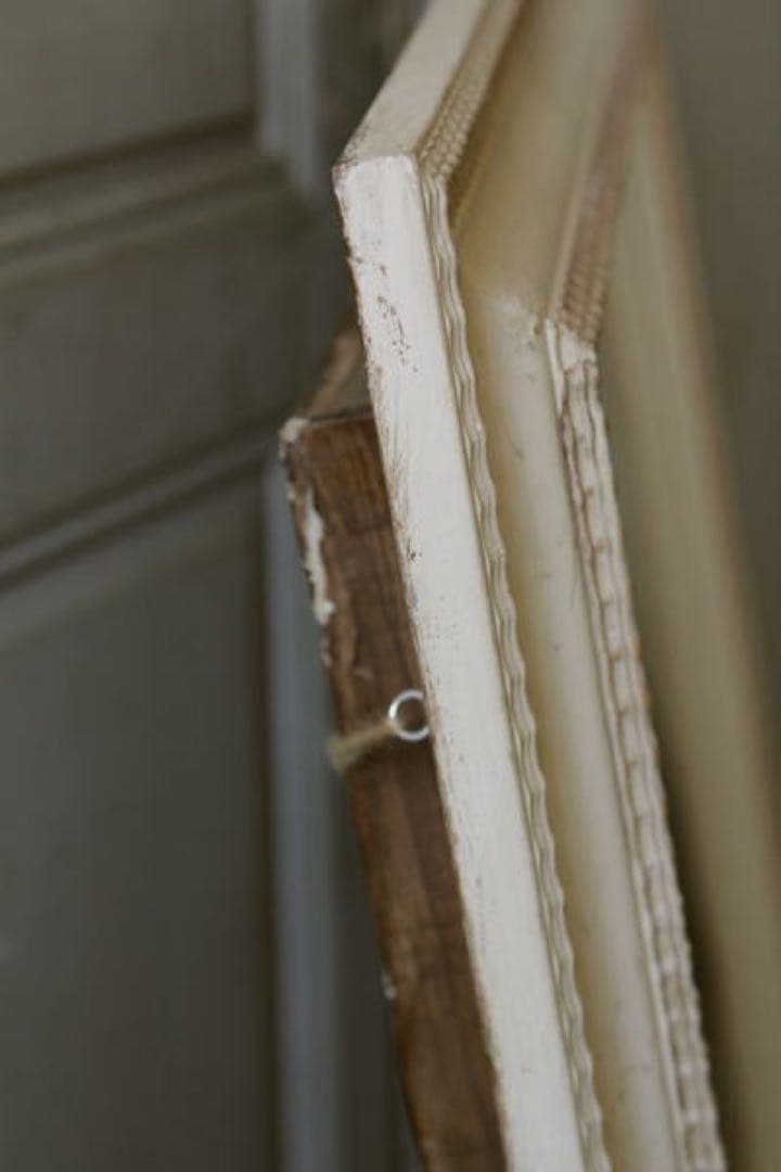 アンティーク標本　貝　珊瑚 海藻　アートフレーム　イタリアフィレンツェ