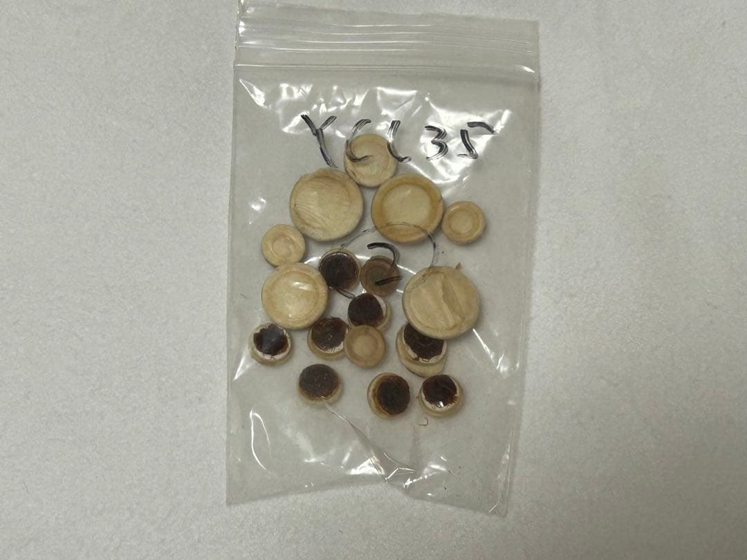 【工房リペア済み】ヤマハ クラリネット YCL35