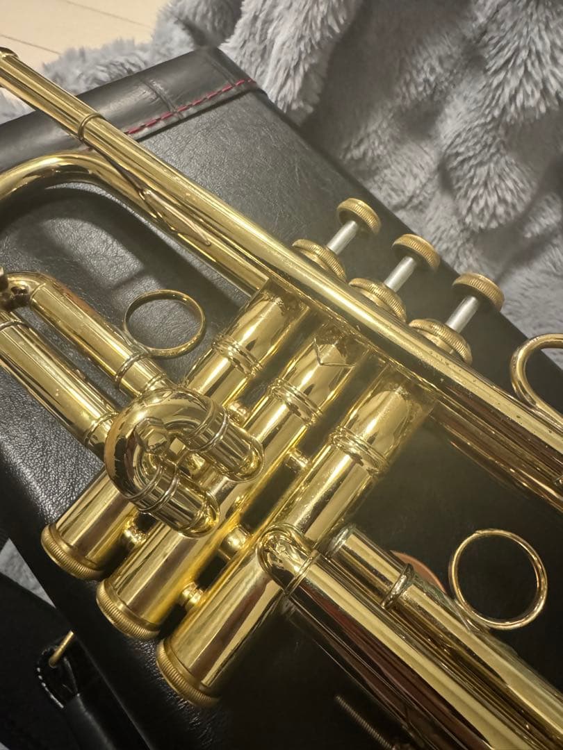 Bach トランペット　NEW YORK #7 GOLD ハードケース付き