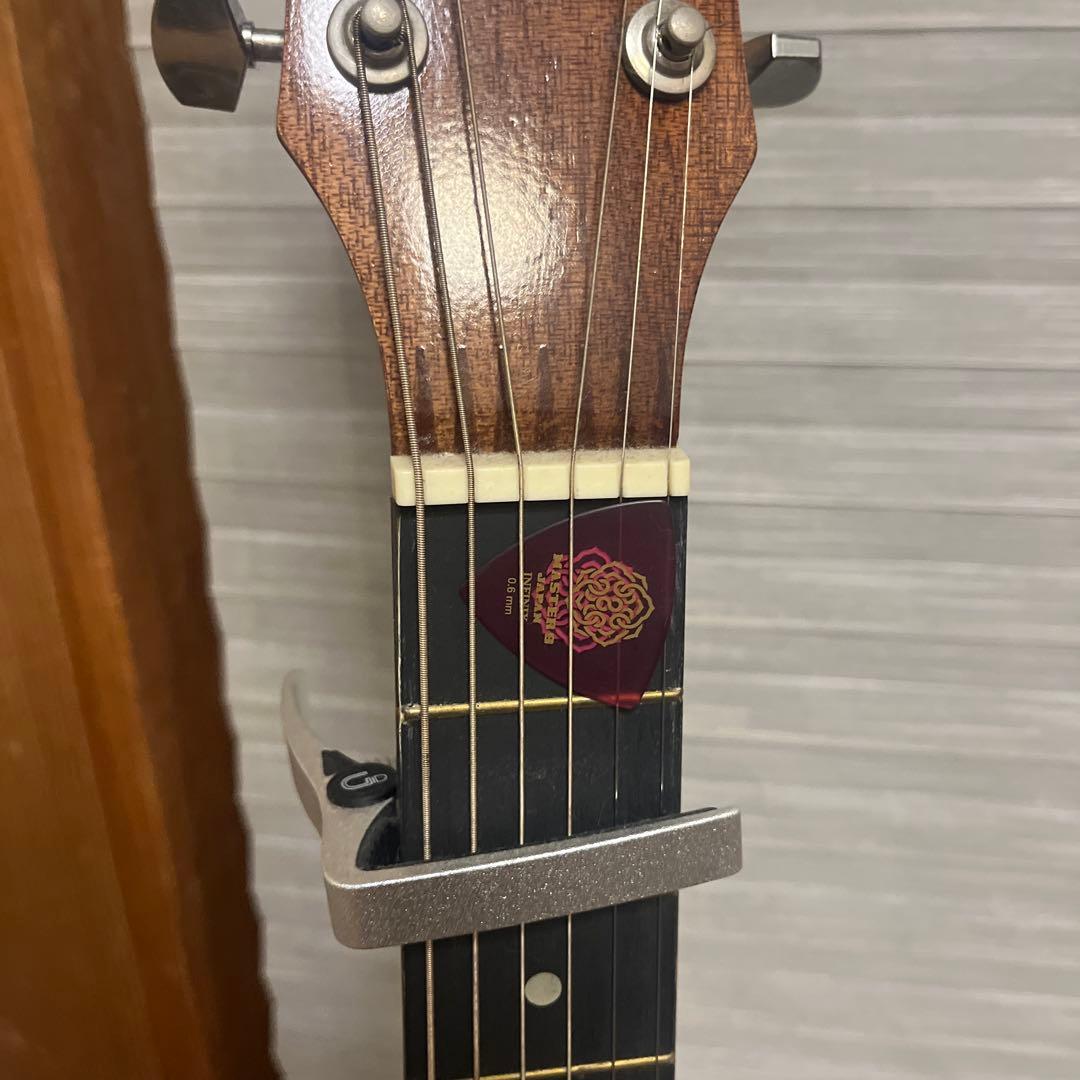 アコースティックギター ブラウン