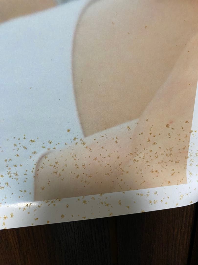 椎名林檎　本能ポスター　販売促進用