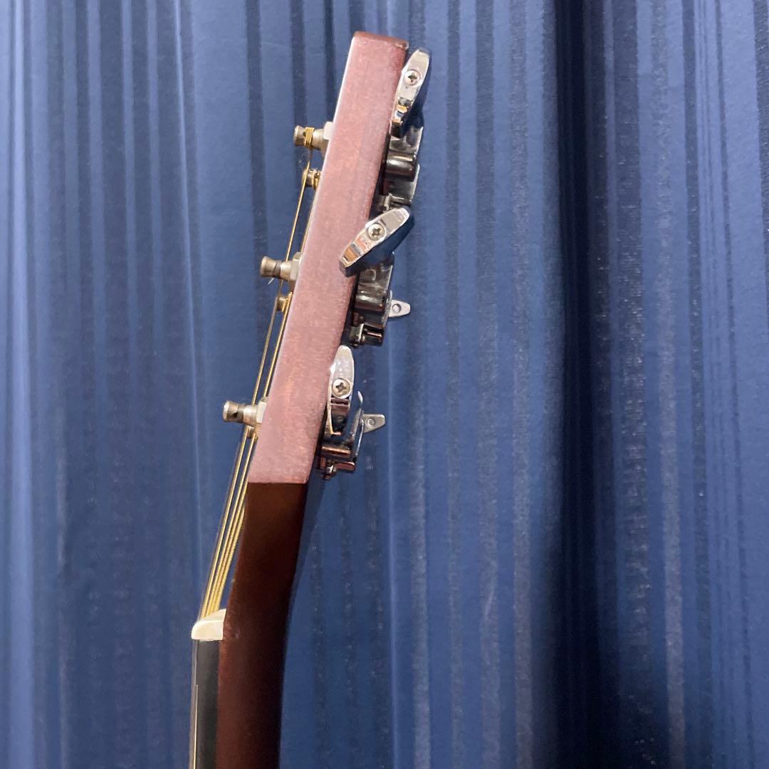 【最終値下げ】takamine ギター T-F2TBS ハードケース付き