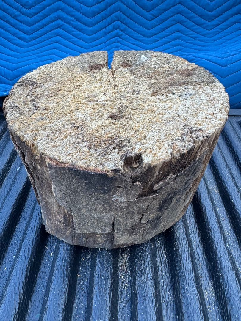 ベトナム材　VN材　13cm×20cm 産卵木