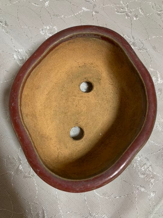 服部　盆栽鉢　赤茶