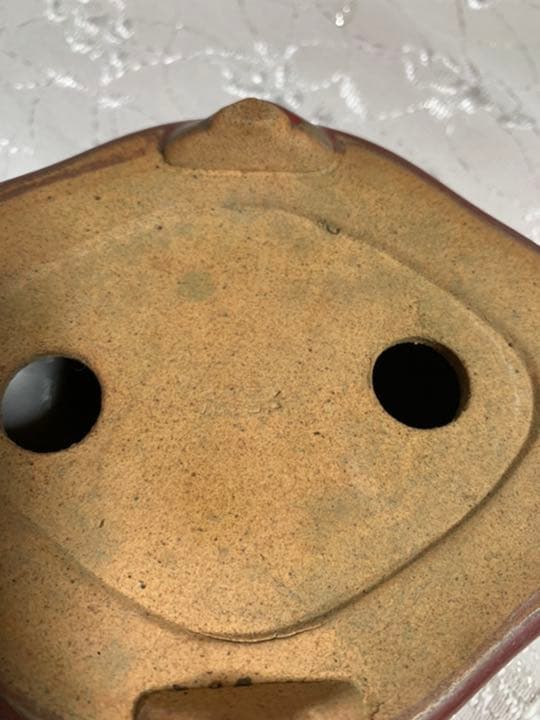 服部　盆栽鉢　赤茶