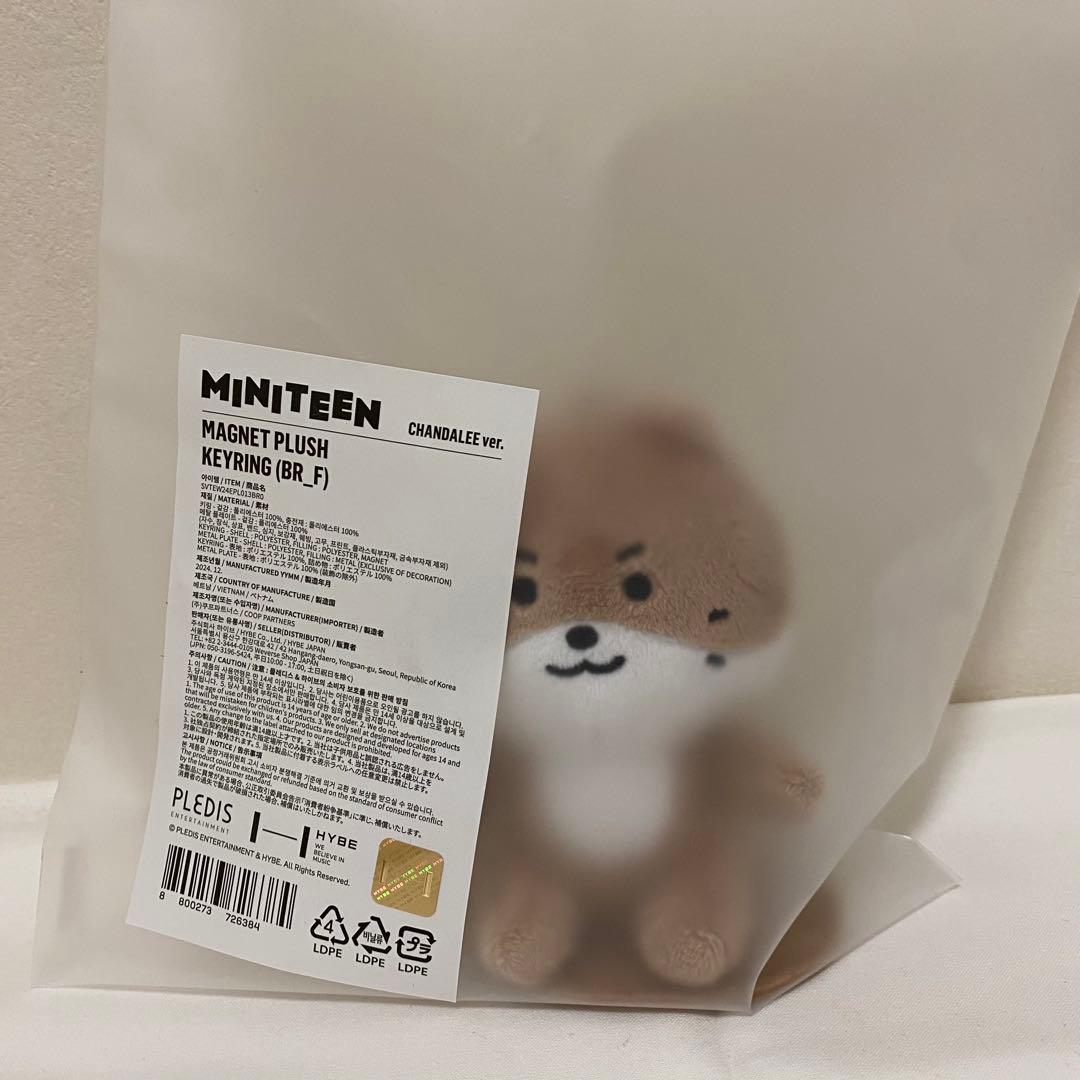 ミニティーン　ディノ　チャンダリ