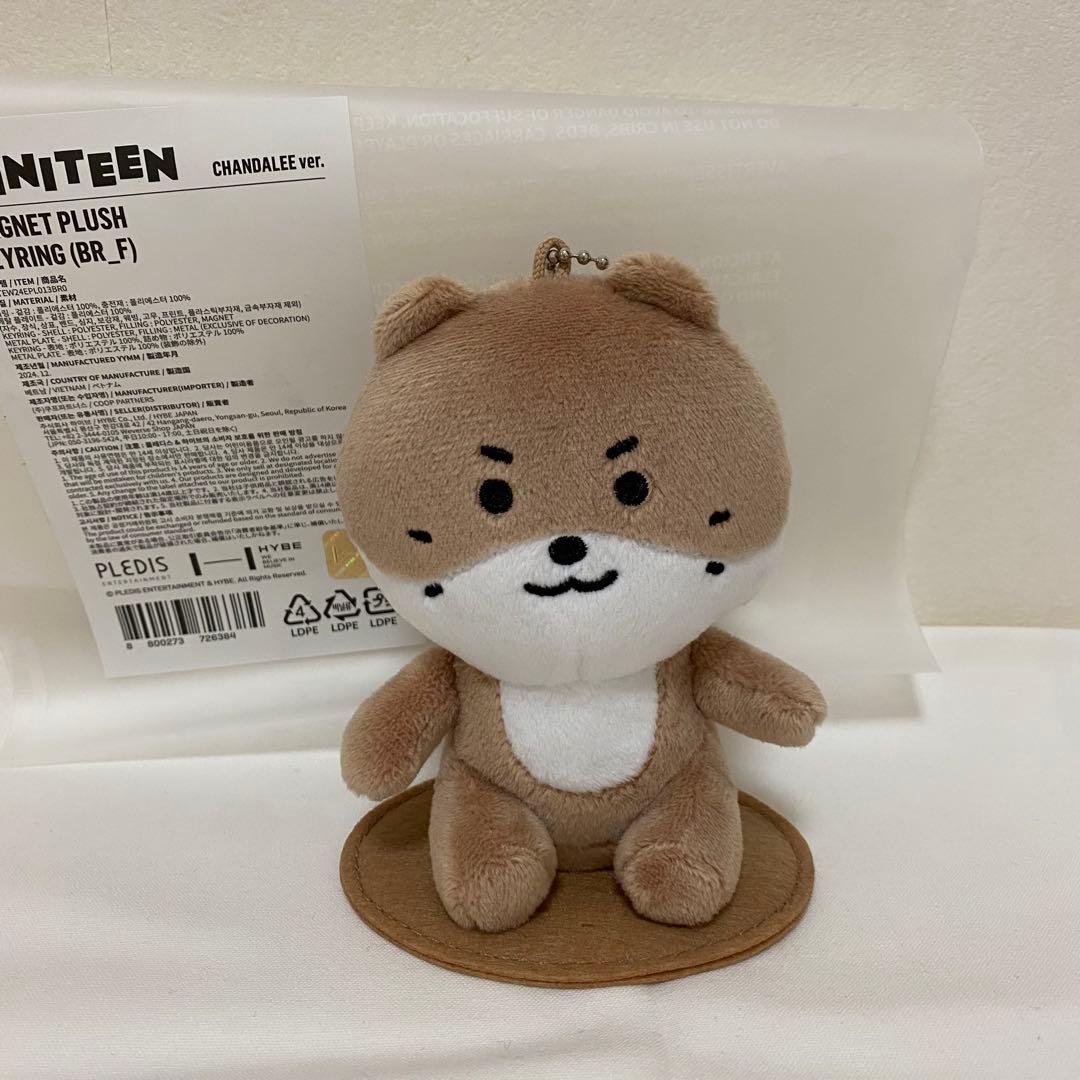 ミニティーン　ディノ　チャンダリ