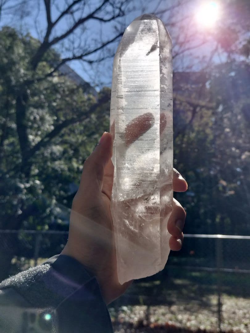 【早いもの勝ち超特価】レムリアンシード