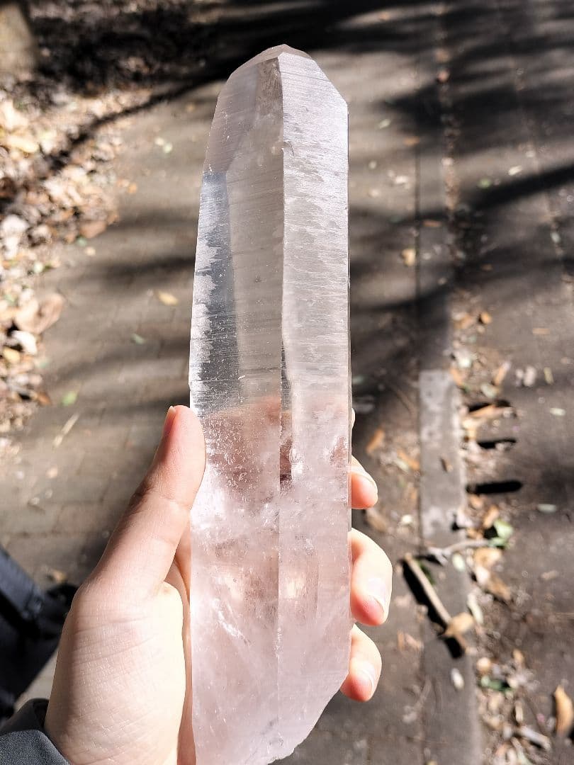 【早いもの勝ち超特価】レムリアンシード