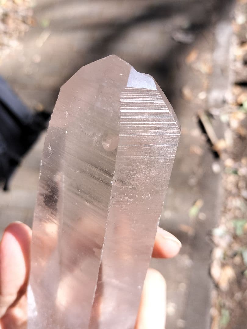 【早いもの勝ち超特価】レムリアンシード