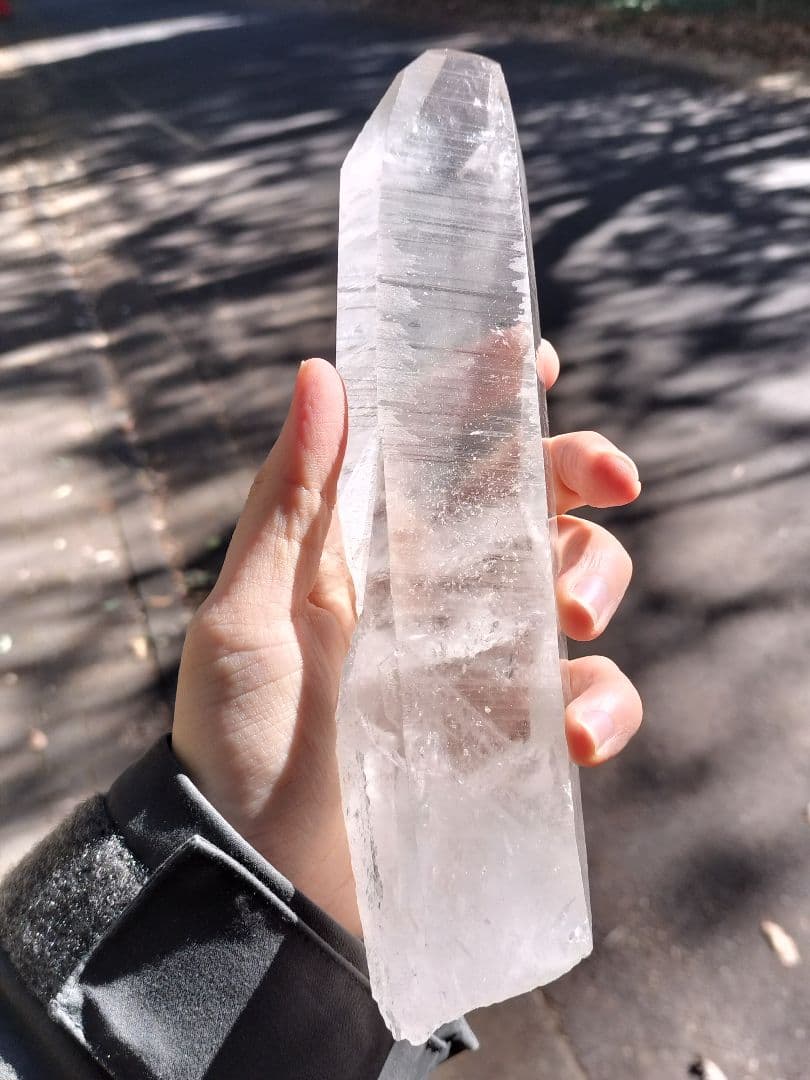 【早いもの勝ち超特価】レムリアンシード