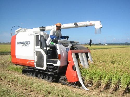 玄米10kg岩手県奥州市前沢産ひとめぼれ令和7年産米