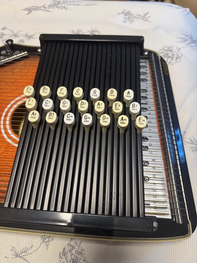 ARIR Cordaharp 21コード （オートハープ）