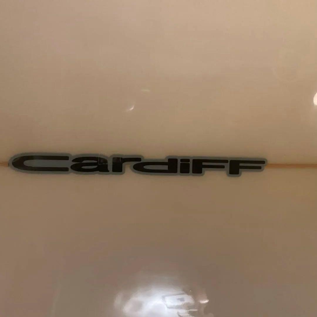 Cardiff ロングボード ファンボード　 ホワイト