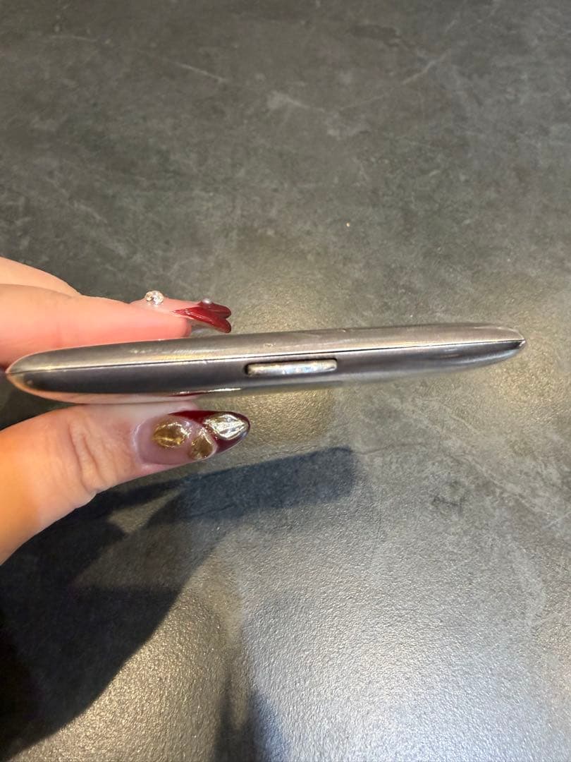 Silver950 生駒製　蜻蛉図煙草入れ／カードケース