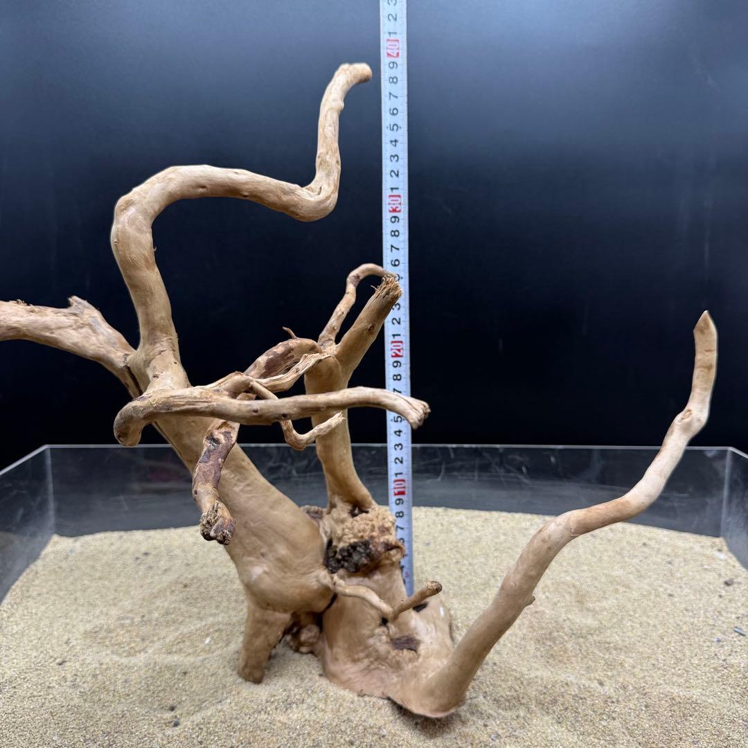 MDW-7164 ブランチウッド2本セット　流木　枝流木　アクアリウム